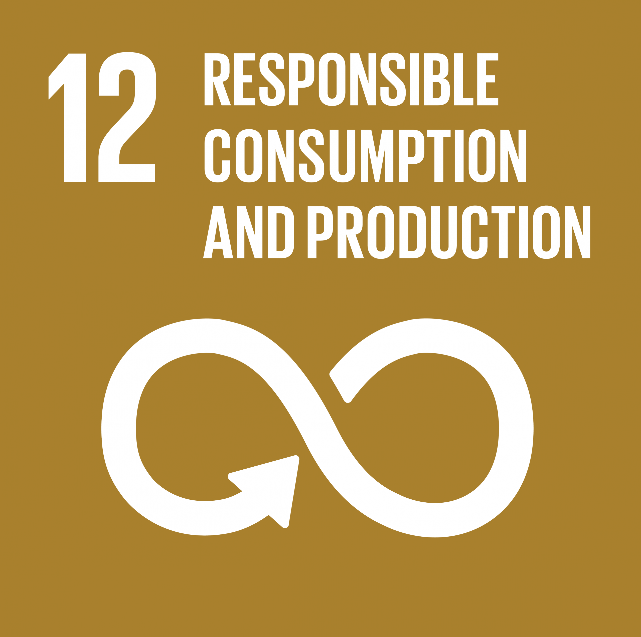 UN SDGs-12