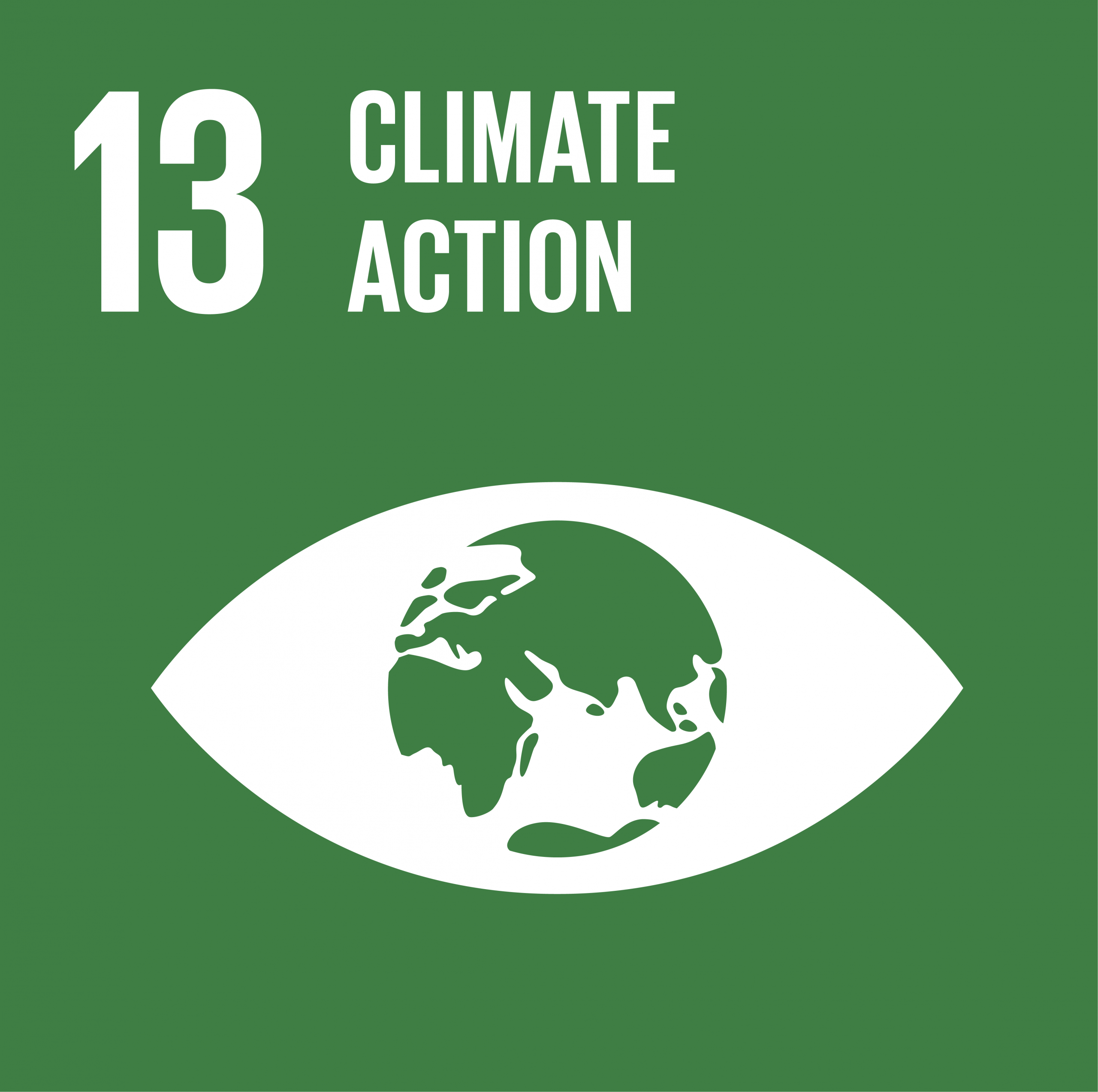 UN SDGs-13