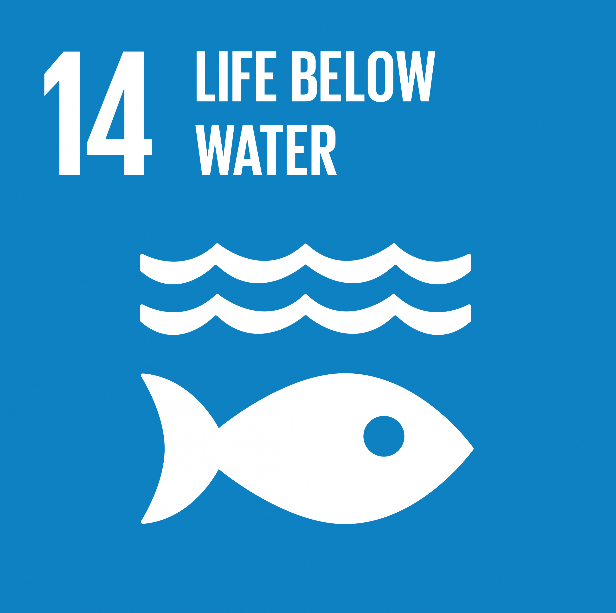 UN SDGs-14