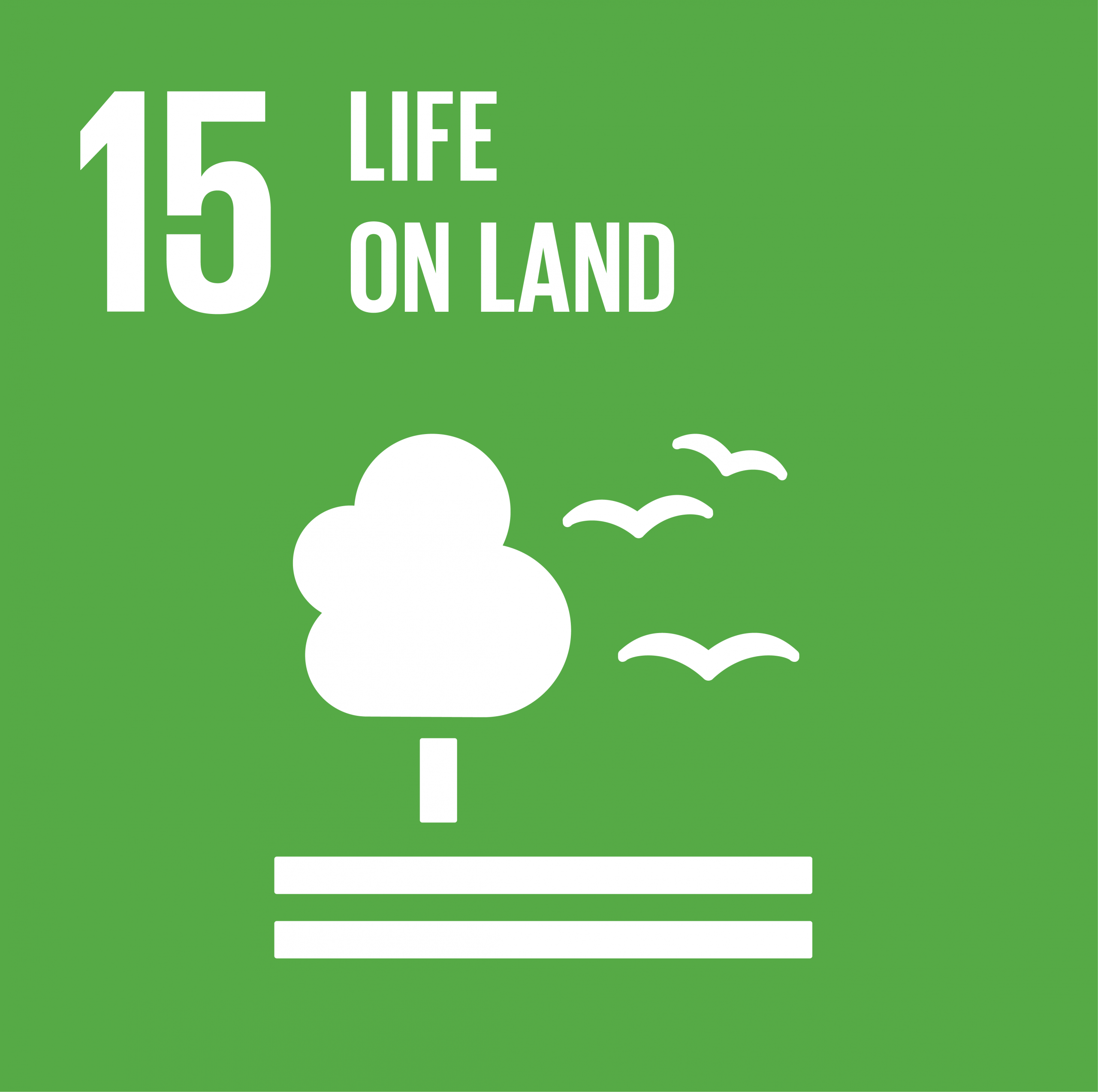 UN SDGs-15