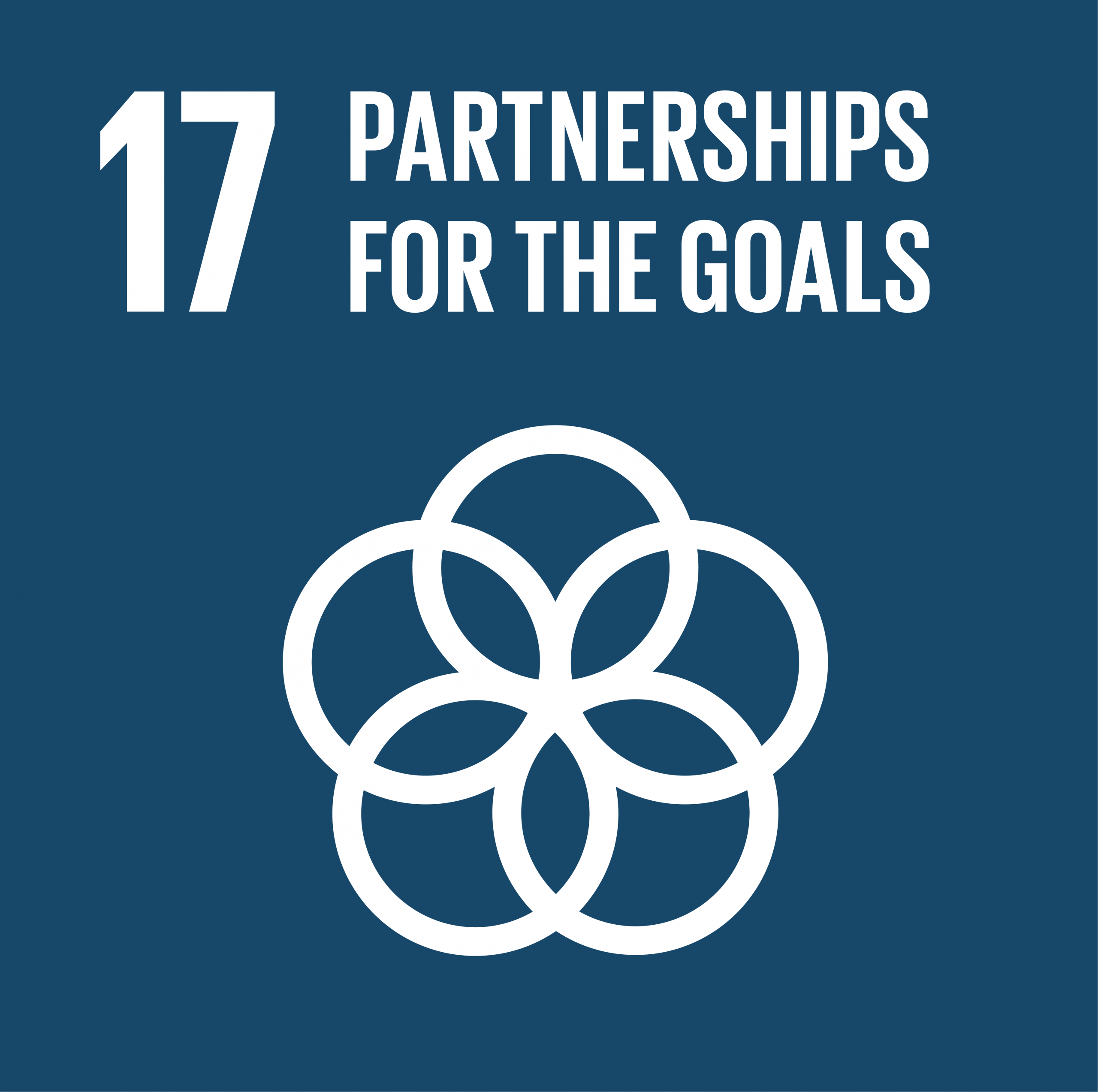UN SDGs-16